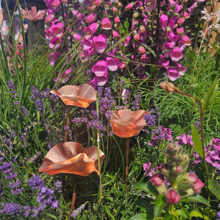 5 x Copper Bee Drinker Bundle