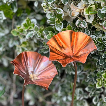 5 x Copper Bee Drinker Bundle