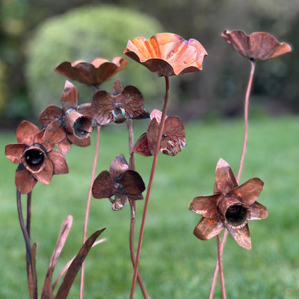 5 x Copper Bee Drinker Bundle