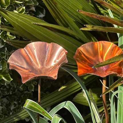 5 x Copper Bee Drinker Bundle