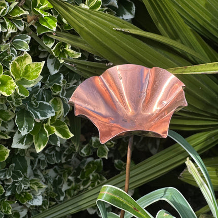 5 x Copper Bee Drinker Bundle