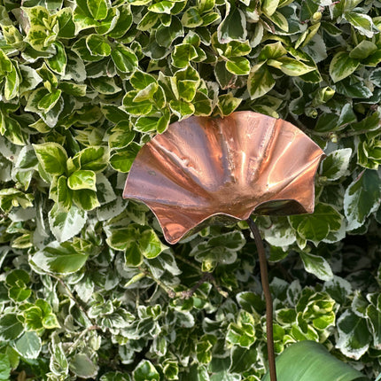 5 x Copper Bee Drinker Bundle