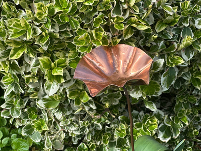 5 x Copper Bee Drinker Bundle