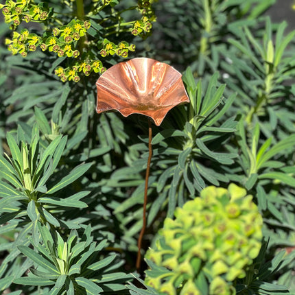 5 x Copper Bee Drinker Bundle