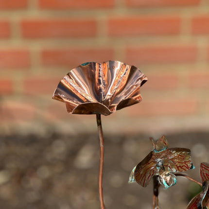 5 x Copper Bee Drinker Bundle