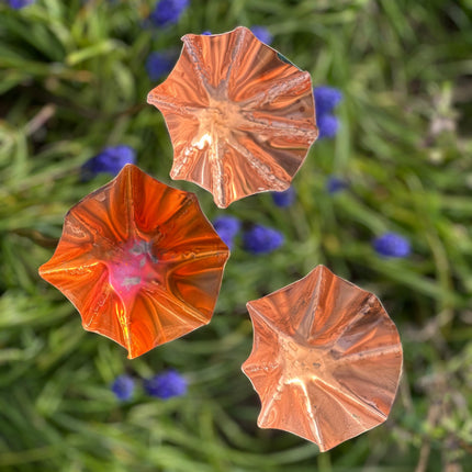 5 x Copper Bee Drinker Bundle