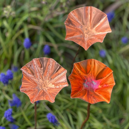 5 x Copper Bee Drinker Bundle