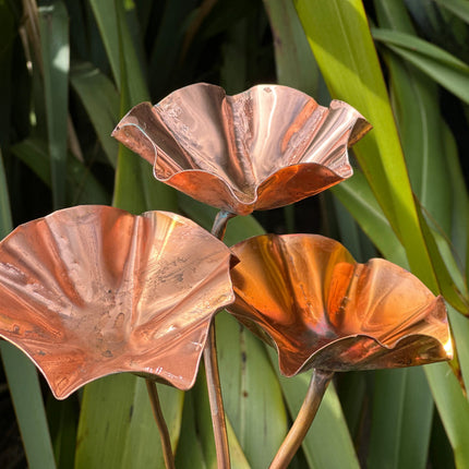 5 x Copper Bee Drinker Bundle