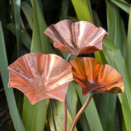 5 x Copper Bee Drinker Bundle