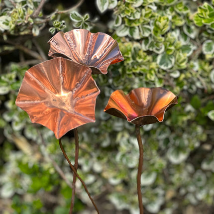 5 x Copper Bee Drinker Bundle