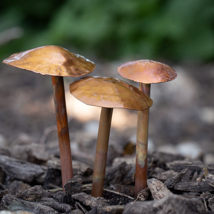 3 Copper Mushrooms