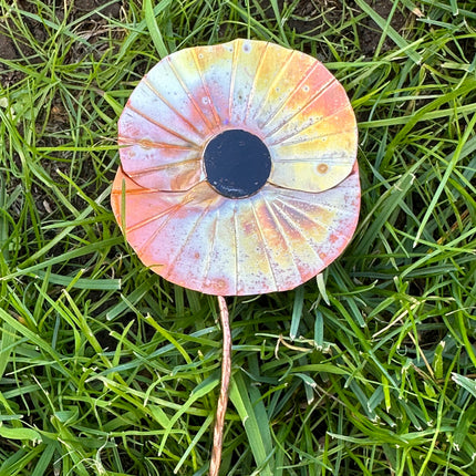 Copper Poppy Flower