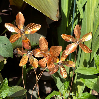 Copper Clematis Flower