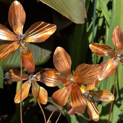 Copper Clematis Flower