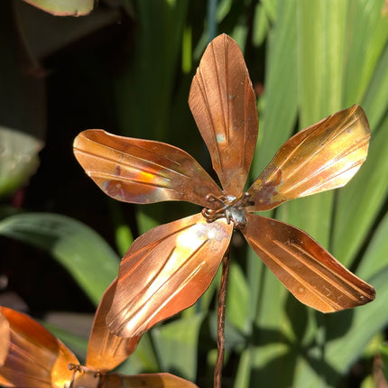 Copper Clematis Flower