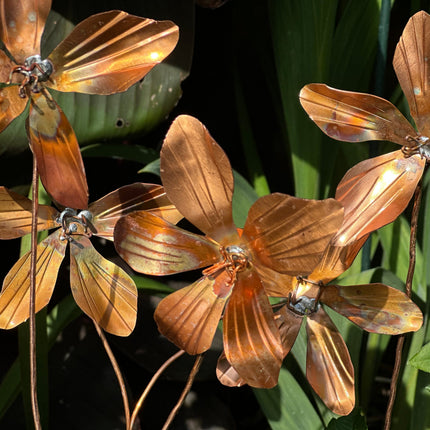Copper Clematis Flower