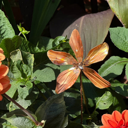 Copper Clematis Flower