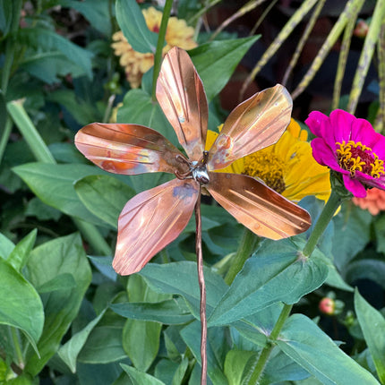 Copper Clematis Flower