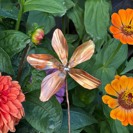 Copper Clematis Flower
