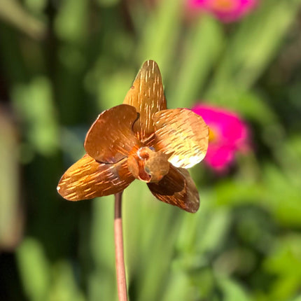 Copper Orchid Flower