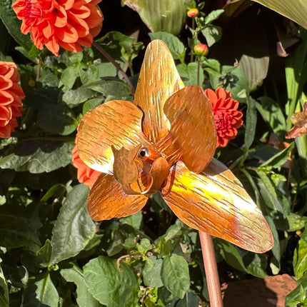 Copper Orchid Flower