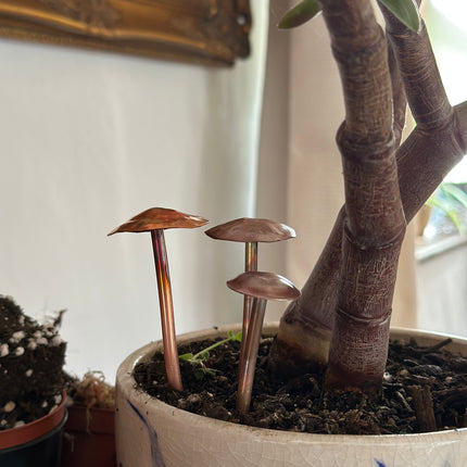 3 Copper Mushrooms