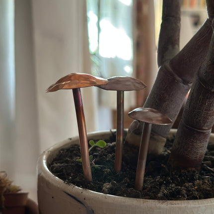 3 Copper Mushrooms