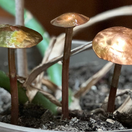 3 Copper Mushrooms