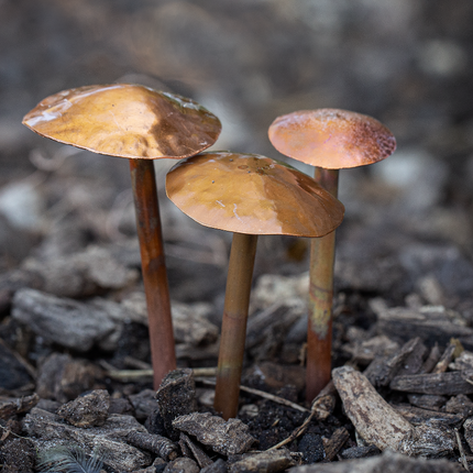 3 Copper Mushrooms