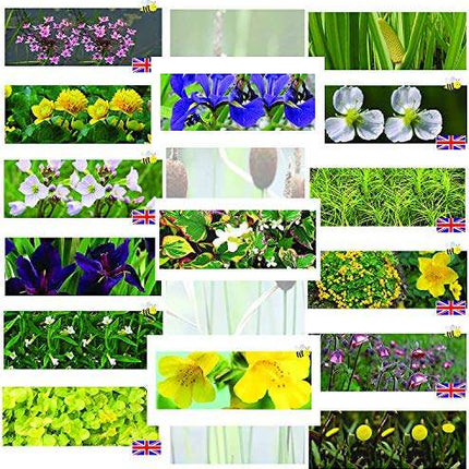 Premium Pond Starter Packs - Pond topup Packs - Oxygenating - Compost and Pots