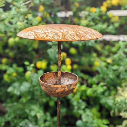 Rusty Metal Bird Feeding Stake