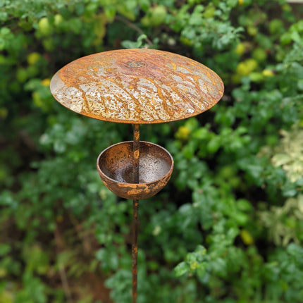 Rusty Metal Bird Feeding Stake