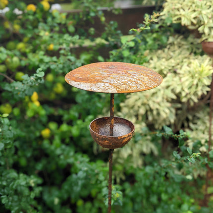 Rusty Metal Bird Feeding Stake