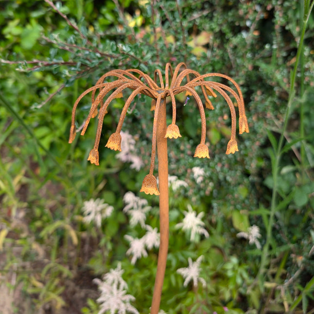 Sicilian Honey Garlic Flower