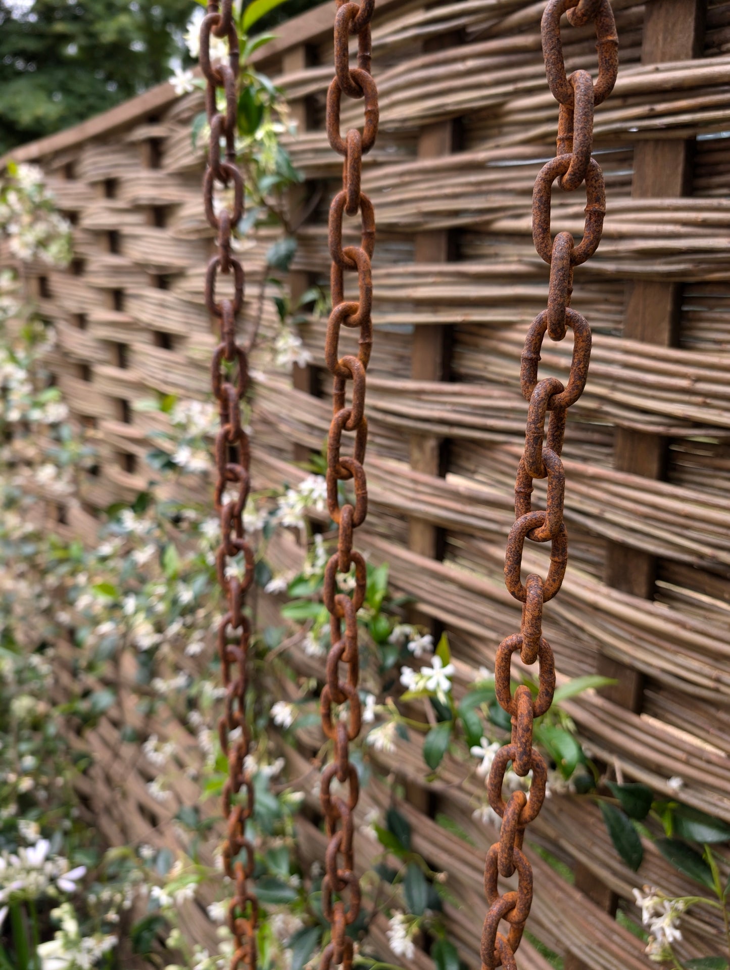 Rusty Rain Chains
