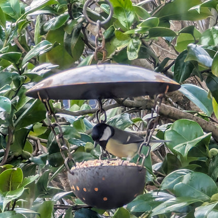Chain Hanging Bird Feeder