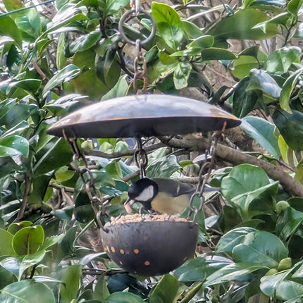 Chain Hanging Bird Feeder