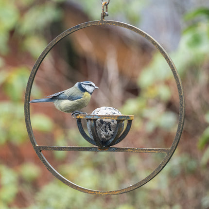 Hanging Fat Ball Feeder