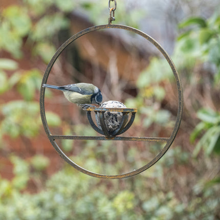 Hanging Fat Ball Feeder