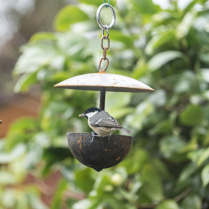 Outdoor Hanging Bird Feeder