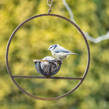 Hanging Fat Ball Feeder