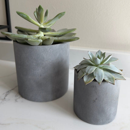 Aurello | Brushed Grey Stone Resin Indoor Plant Pots (Set of 2)