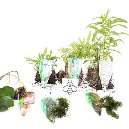 Premium Pond Starter Packs - Pond topup Packs - Oxygenating - Compost and Pots