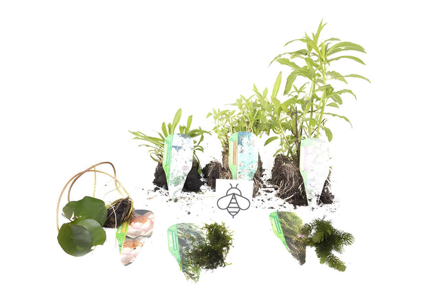 Premium Pond Starter Packs - Pond topup Packs - Oxygenating - Compost and Pots