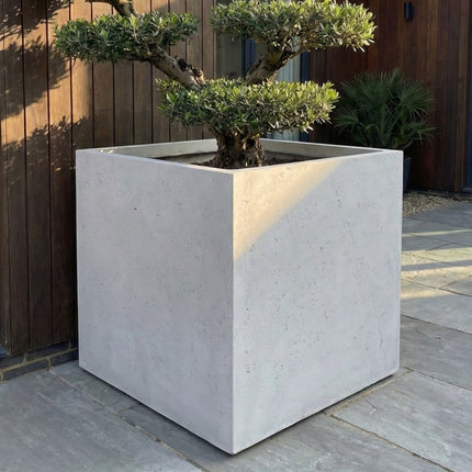 Cubrosa | White Mist – 100cm XXL Square Concrete Planter – 782L Large Outdoor Plant Pot