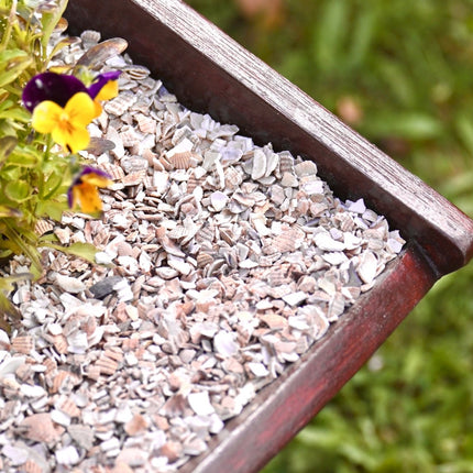 Crushed Sea Shells 2kg close up wheelbarrow - Grit & Grow
