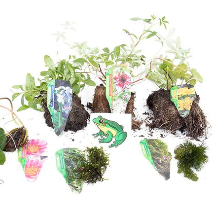 Premium Pond Starter Packs - Pond topup Packs - Oxygenating - Compost and Pots