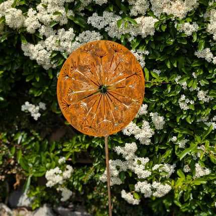 Allium Burst