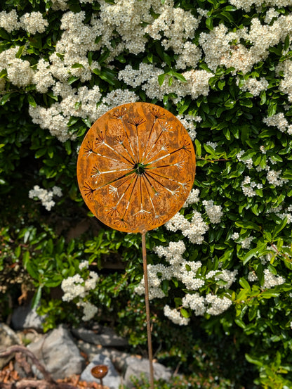 Allium Burst