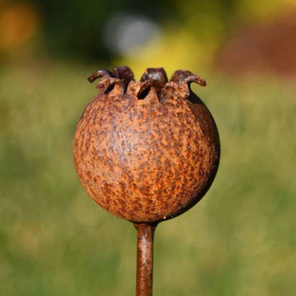Rusty Metal Poppy Seedhead